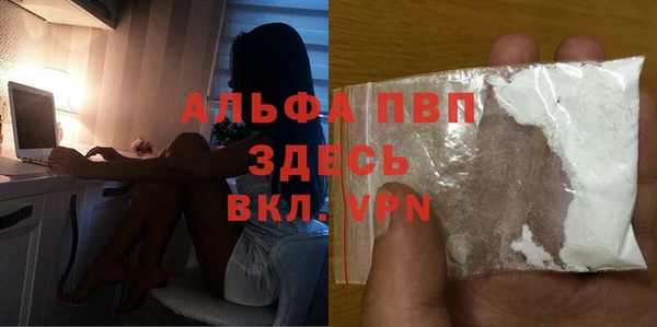 прущие грибы Фурманов