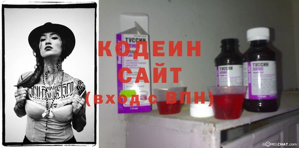 прущие грибы Фурманов