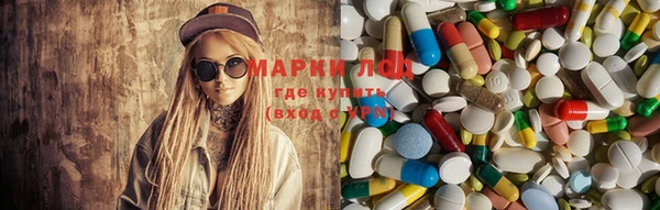 прущие грибы Фурманов