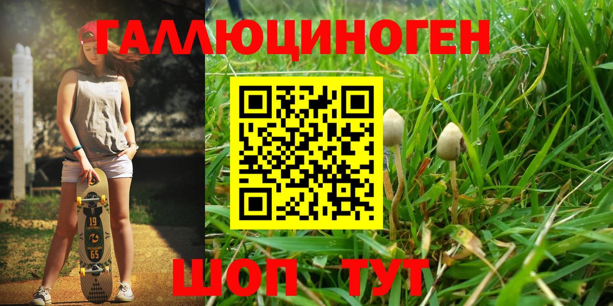 Галлюциногенные грибы GOLDEN TEACHER  Галлюциногенные грибы GOLDEN TEACHER  Белово 