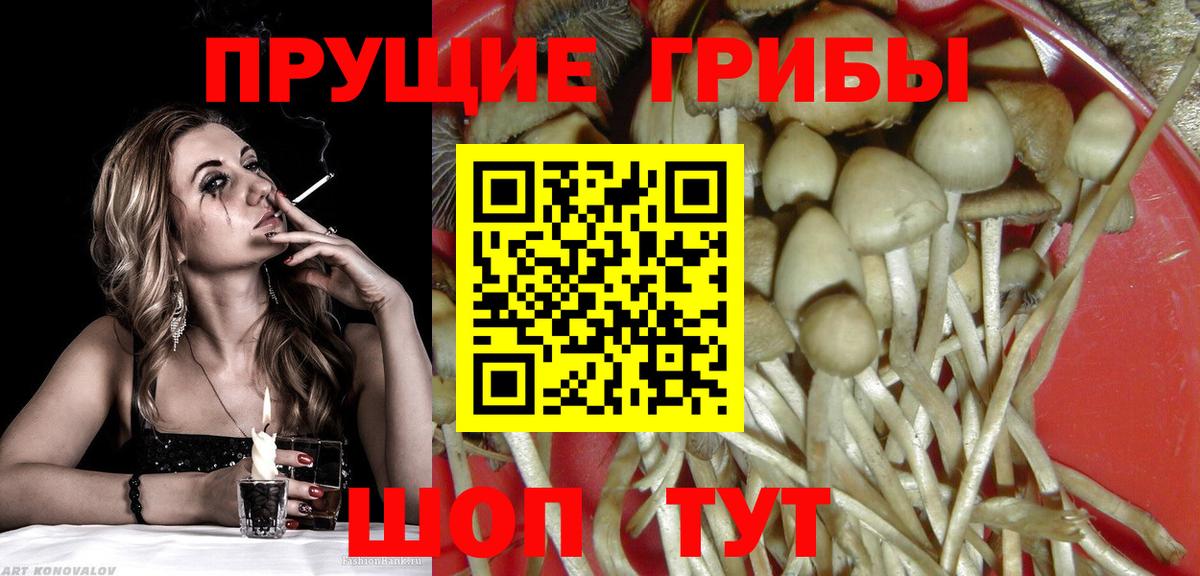 Псилоцибиновые грибы MAGIC MUSHROOMS  Галлюциногенные грибы мухоморы  продажа наркотиков  Белово  Вход с VPN 
